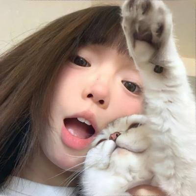 继承风暴