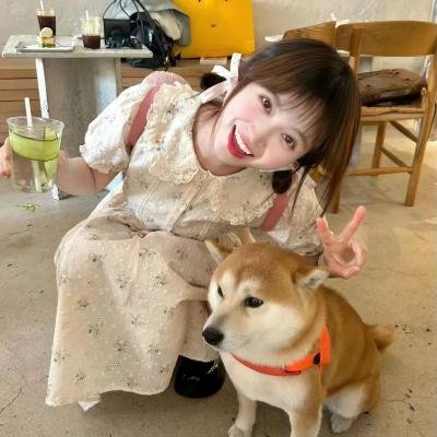 李米的猜想